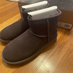 UGG mini II boots size 6- color is “shade”. New in box. NEVER WORN.